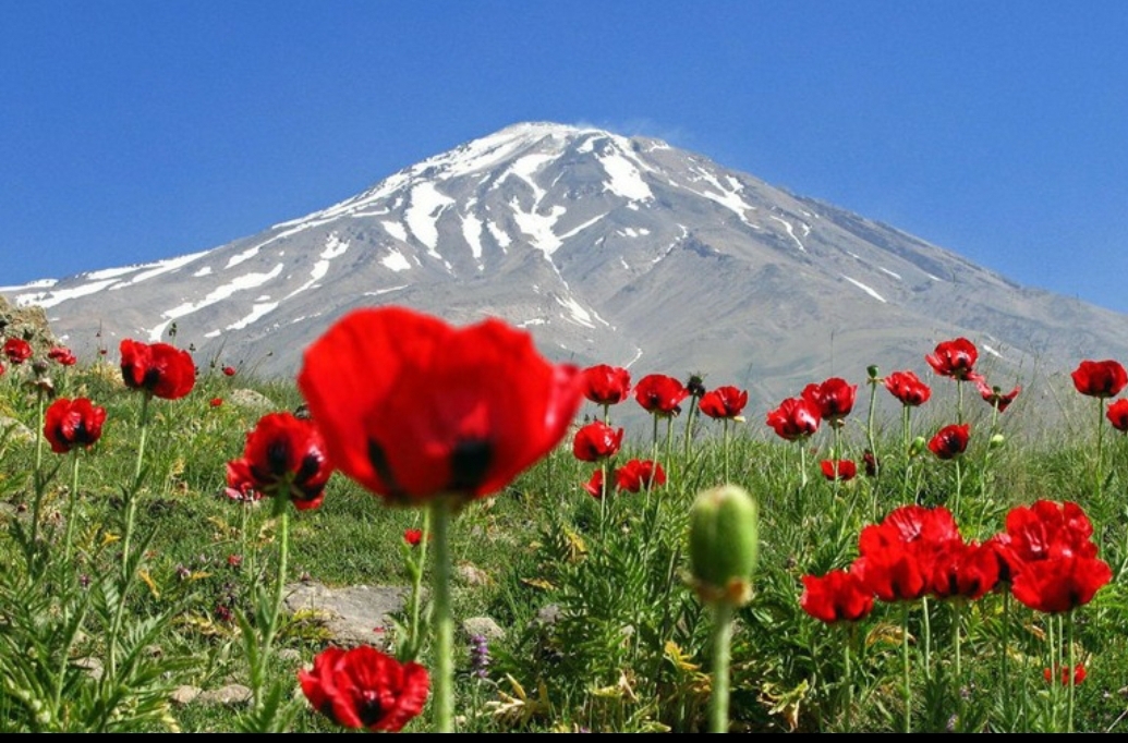 حفظ محیط زیست کوهستان و فرهنگ نگهداری آن